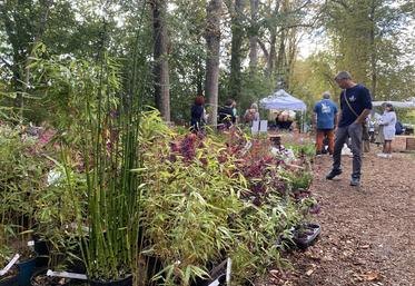 À Chaumont-sur-Loire, les samedi 20 et dimanche 21 septembre, une vingtaine de pépiniéristes venus de toute la France ont participé aux Botaniques.