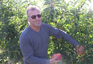 André Cellier, arboriculteur du côté de Mont-près-Chambord, connaît en ce moment une récolte bien plus mauvaise que celle de l'année précédente, en partie à cause des aléas climatiques.