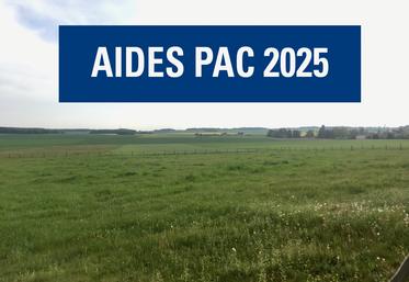 Illustration aides Pac