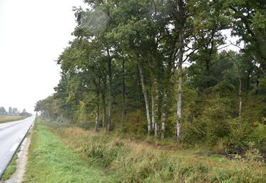 « Être propriétaire forestier sans assurance, c’est comme conduire une voiture sans permis », avait noté le président de Fransylva. Toutefois, l'entretien des linéaires forestiers en bord de route et de zone à risque pour la sécurité reste une obligation, même avec une assurance.