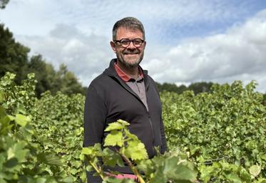 Philippe Faure, le nouveau directeur de l’AOC Touraine, apporte à la fois son expérience auprès des instances syndicales et son expérience de terrain de vigneron.