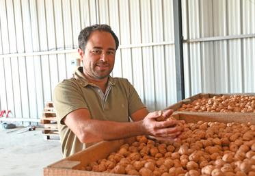 Maxime Cherrier, président de la SAS Noix du Val de Loire et producteur de noix à Josnes, revient sur la saison de récolte 2025 en Loir-et-Cher. 