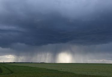 Réformé en 2023, l'assurance multirisques climatiques repose sur la solidarité nationale et le partage du risque entre l’État, les agriculteurs et les assureurs.