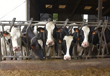 La Journée de dynamique laitière se tiendra mardi 9 décembre à Villemoutiers.