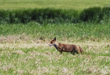 Il est nécessaire qu'un maximum d'exploitants agricoles répondent à l'enquête.