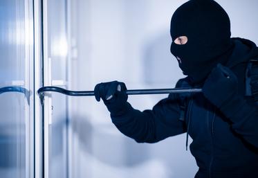 Selon les préventeurs de Groupama, « tout se vole, du plus petit, comme l’outillage, au plus gros, les tracteurs, en passant par le carburant ou le matériel d’irrigation ou même animaux et récoltes ».