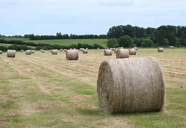 L'indice du fermage en 2025 est en évolution de 0,42 %, contre 5,23 % l'année d'avant.