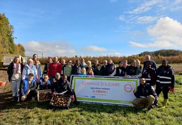 Début novembre, à Château-Renard. Bénévoles et associations ont récolté 700 kg de pommes de terre dans le champ de Benoît Courdent lors d’un glanage solidaire organisé avec Solaal Centre-Val de Loire.
