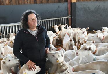 Claire Charrier a décidé de s'installer en tant qu'éleveuse caprine à Cormeray après une carrière en tant que conseillère au sein d'Agglopolys. 