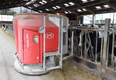 Le robot d'alimentation Lely Vector assure une répartition équilibrée pour les bovins. 