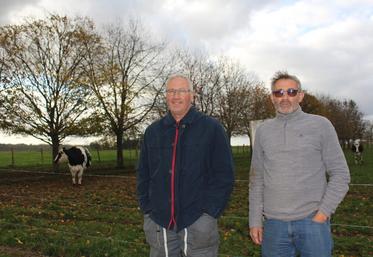 Michel et Laurent Delaleau ont simplifié leur système d’élevage.