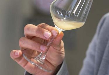 Passionnés et amateurs de vins sont invités à s'inscrire à la formation du 16 décembre.