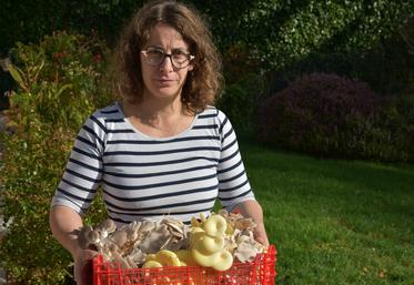 Productrice à Lailly-en-Val, Julie Pailloux développe une culture de champignons en caves, entre expérimentation et circuits courts.