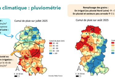 Bilan de pluviométrie de l’été 2025 et conséquences sur les composantes de rendement du maïs grain.