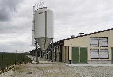 En cas de détection de salmonelles, l'éleveur est indemnisé uniquement s'il a signé et appliqué la charte de bonnes pratiques en élevage. 