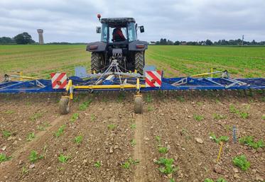 Qualité du lit de semences et homogénéité sont cruciales pour intervenir au bon moment.