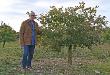 Bernard Doussineau est trufficulteur sur une parcelle de 3,5 hectares à Villeromain depuis plus d'une quarantaine d'années.