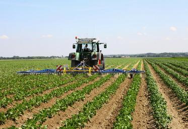 En l’absence de solution produit, le rattrapage du désherbage se fera par la voie mécanique.