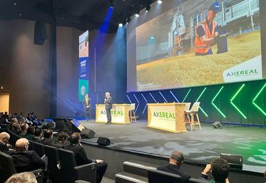 Mardi 9 décembre, à Orléans. En assemblée générale, Axéréal a présenté un chiffre d’affaires en recul, passé de 4 à 3,3 milliards d’euros, dans un contexte marqué par une mauvaise moisson 2024 et la baisse du marché mondial de la bière.