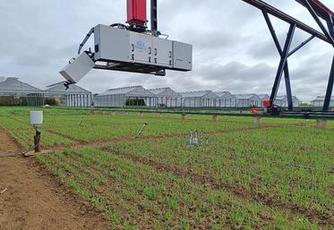 Phénofield® est une plateforme de phénotypage haut-débit permettant de scanner l’impact des stress hydriques et azotés sur le développement des plantes.