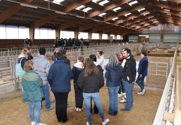 Mercredi 10 décembre, à Leudeville (Essonne). La troisième Journée régionale ovine a réuni une centaine de personnes.
