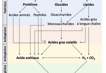 La méthanisation fait appel à des processus biologiques complexes.