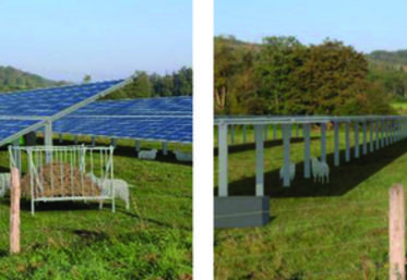 L’idée du projet est de faire coexister production d'énergie photovoltaïque et exploitation agricole (élevage ovin et cultures maraîchères), en gardant l’agriculture comme activité principale, conformément à la réglementation agrivoltaïque.