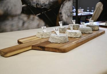 Reconnaissables à leur croûte grise et cendrée, les fromages AOP Selles-sur-Cher incarnent cinquante ans de savoir-faire caprin et d’ancrage territorial.