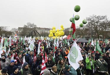 Marée humaine et drapeaux flottant sur la place de Bordeaux. Dix-sept pays ont rejoint les exploitants agricoles français. 