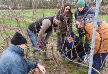 Mercredi 14 janvier, à Beautheil-Saints (Seine-et-Marne). 19 vignerons ont participé au premier tour de vignes de l'année organisé par la chambre d'Agriculture.