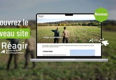 Le nouveau site Réagir centralise les contacts et les informations utiles pour engager une démarche d’accompagnement en toute confidentialité.