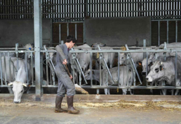 Parcoursup, la plateforme de préinscription en première année de l'enseignement supérieur, a ouvert le 19 janvier. Les candidats ont jusqu'au 12 mars pour formuler leurs vœux.