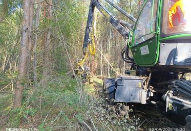 À Bellegarde, le CFA agricole du Loiret forme par apprentissage aux métiers forestiers, de la sylviculture à la conduite d’engins, en lien étroit avec les acteurs professionnels de la filière.