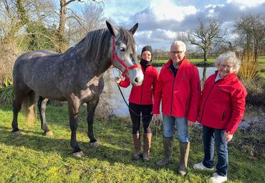 Le 6 février, à Arrou. Manon Blin (à g.) participe au Trophée monté du Concours général agricole au Sia, sur une jument percheronne appartenant à Isabelle et Jean-Marie Cœuret.