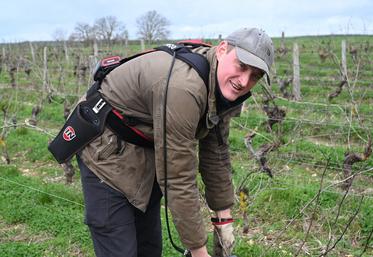 Mardi 17 février, à Villiers-sur-Loire. Florent Jumert, viticulteur à la tête d'un vignoble de 12 hectares, a commencé la taille des vignes début janvier. Celle-ci devrait se terminer fin février. 