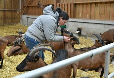 À Fay-aux-Loges, Laurence Onraedt a créé Les Chèvres de la Mardelle en 2019. Une éleveuse passionnée qui transforme l’intégralité du lait de son troupeau en fromages vendus à la ferme.