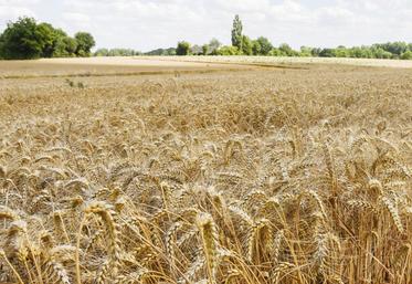 Une enveloppe de 1 434 000 euros est disponible pour le département d'Eure-et-Loir.