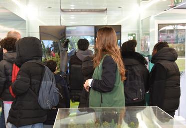 Vendredi 13 février, à Marly-la-Ville (Val-d'Oise). Le camion L'aventure du vivant a permis aux élèves du collège Françoise-Dolto de découvrir les métiers du vivant.