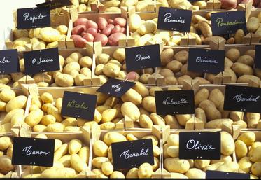 Tout l’enjeu pour l’agriculteur est de produire ce que le marché demande, avec des variétés performantes et adaptées à son système. 