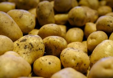 Pour le producteur, le nerf de la guerre est la signature d’un contrat qui le sécurise.