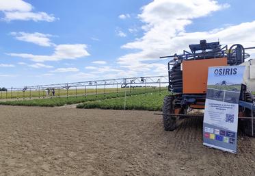 Le robot d’irrigation Oscar, d'Osiris, permet d’allier la maniabilité d’un enrouleur à l’efficience d’un système de goutte-à-goutte, pour une modulation intraparcellaire des apports d’eau.
