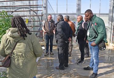 Jeudi 26 février, à Mandres-les-Roses (Val-de-Marne). Tout au long de l'après-midi, une délégation martiniquaise a suivi attentivement la visite de l'exploitation de Jean-Charles Raehm.