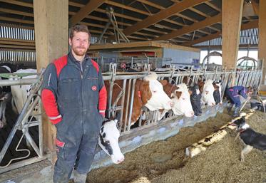 L'élevage de Moïse Pérard comporte 124 vaches laitières.