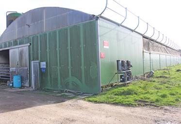 Le bâtiment axé nord-sud accueille 70 vaches laitières.