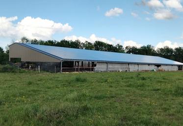 La production annuelle de 315 kWh d’électricité permet à Daisy et Arnaud Oudin de financer leur bâtiment, conçu pour être le plus agréable possible pour les animaux.