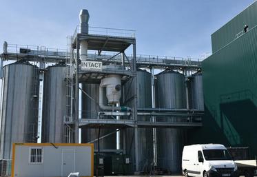 Mardi 17 mars, à Baule. Fondée en 2022 par Fanny de Castelnau, Alexis Duval et Christophe Hervé, Intact développe un site consacré à la transformation de légumineuses.