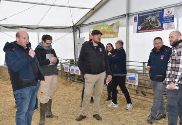 Coulommiers, samedi 28 mars. Ouverture du second concours d'agneaux de boucherie par David Tourte. 