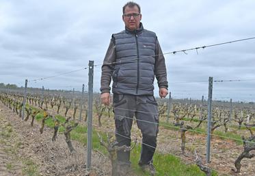 Frédéric Morand, vigneron à Vineuil, a dû faire face à des nuits stressantes ces dernières semaines en raison du gel.
