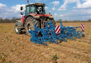 Au printemps, la reprise des lignes de semis est effectuée au Comdor Line.