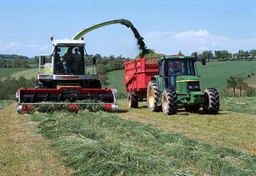 L’ensilage d’herbe et l’enrubannage sont à privilégier pour des animaux exigeants.